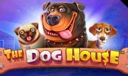 The Dog House pokie at Bitdreams Casino The Dog House pokie at Bitdreams Casino